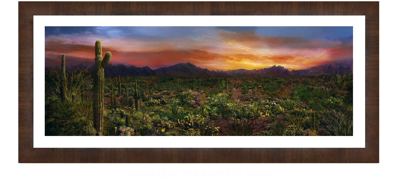 EDEN-VERNALIS-Cigar-Leaf-606-w_Wht-Liner-T.png