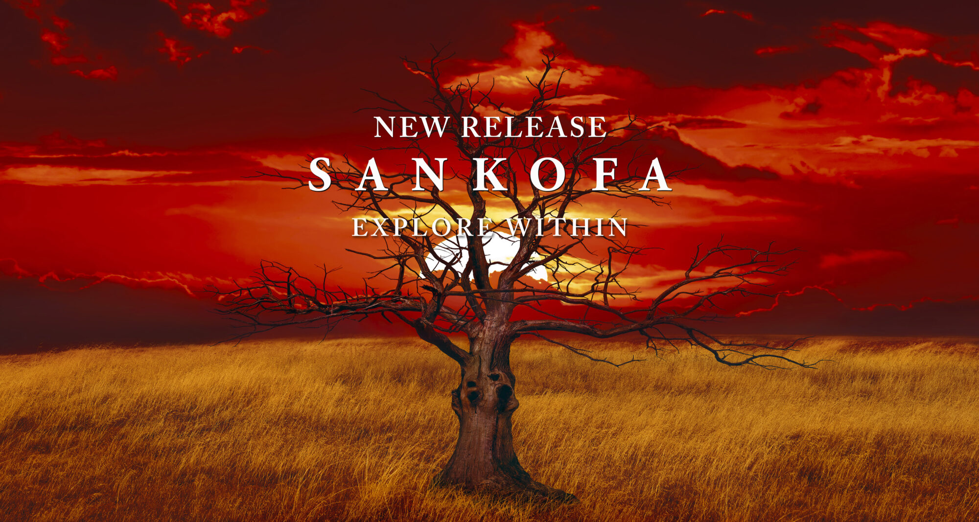 SANKOFA-SunTree-HOME-PG-2000x1067.jpg